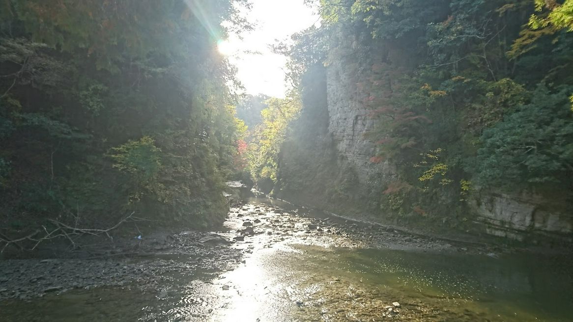 弘文洞跡 千叶 Matcha 日本旅游网络杂志