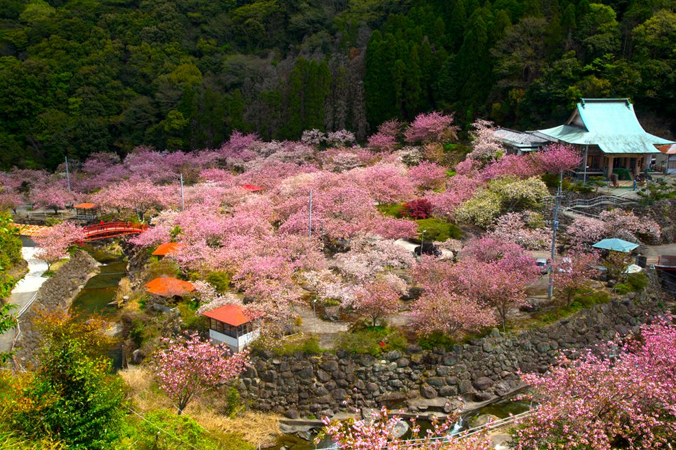 一心寺 大分 Matcha 日本旅游网络杂志