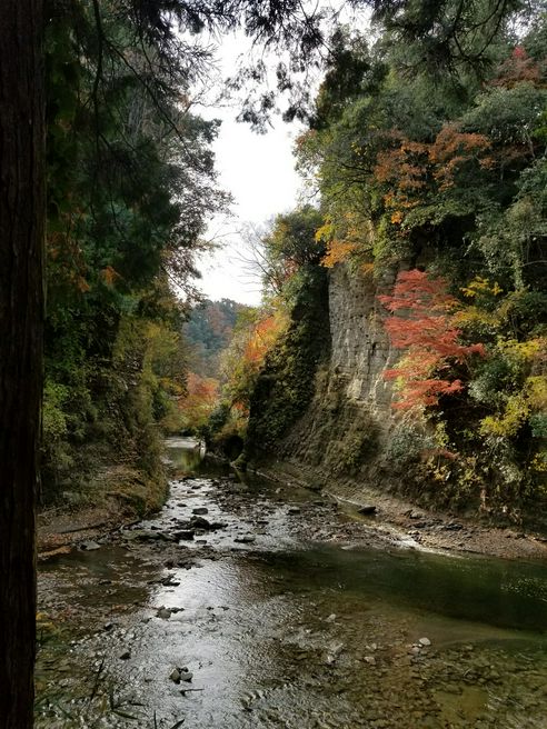 弘文洞跡 千叶 Matcha 日本旅游网络杂志