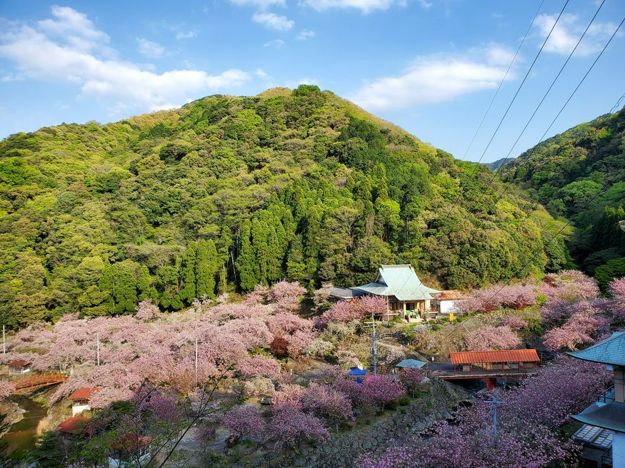 一心寺 大分 Matcha 日本旅游网络杂志