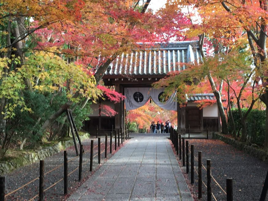 光明寺 京都 Matcha 日本旅游网络杂志