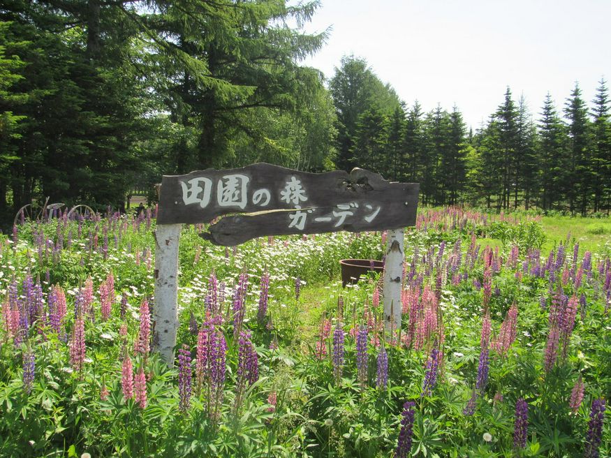 十勝川温泉観光協会 北海道 Matcha 訪日外国人観光客向けwebマガジン