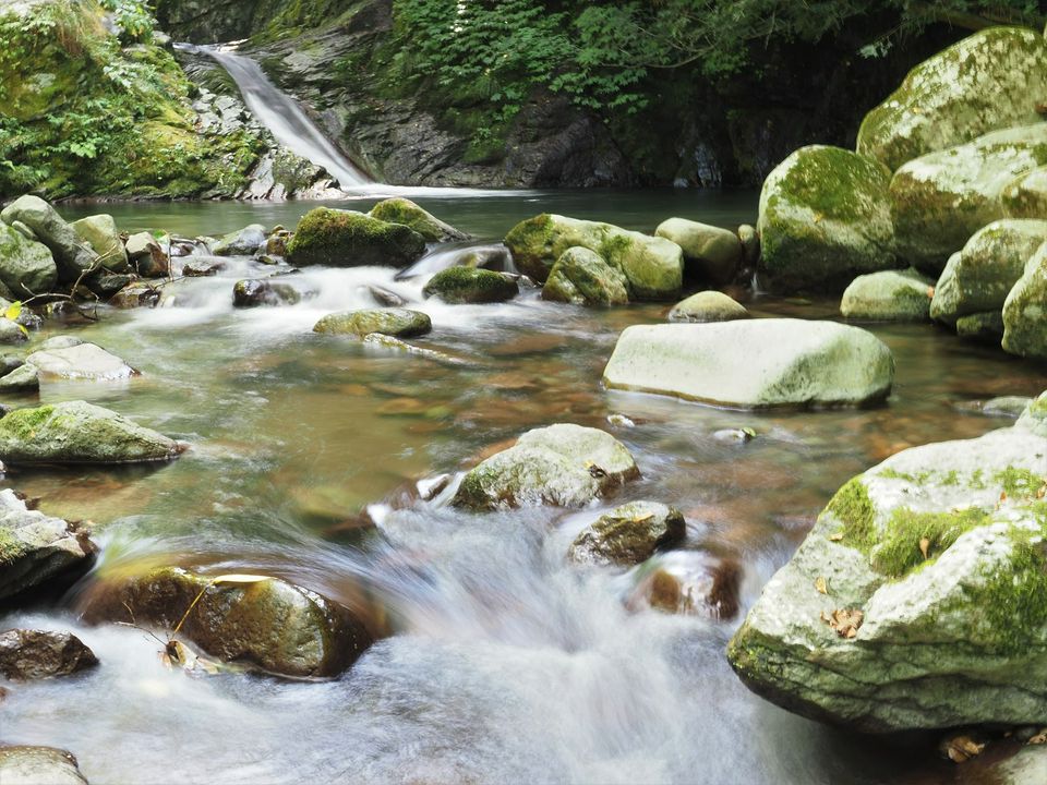 親近美麗的自然楓景 鳥取必訪紅葉景點六選 Matcha 日本線上旅遊觀光雜誌