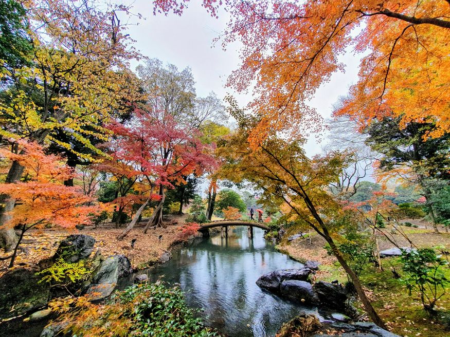 Rikugien Gardens - Tokyo | MATCHA - JAPAN TRAVEL WEB MAGAZINE