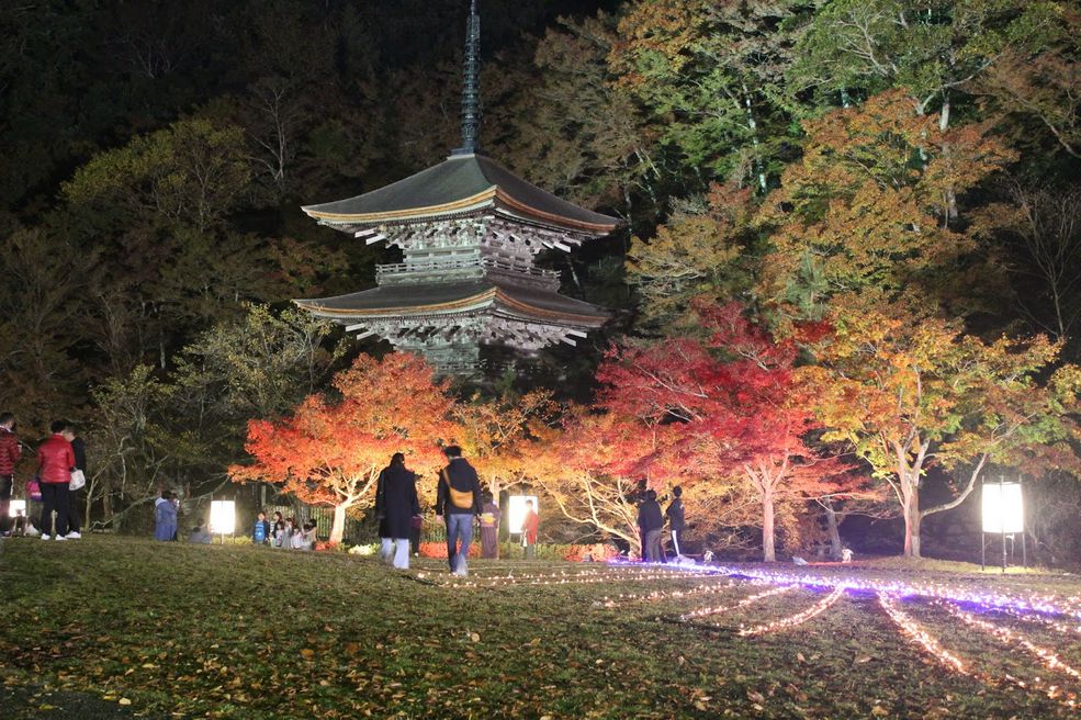 金剛院 京都 Matcha 日本線上旅遊觀光雜誌