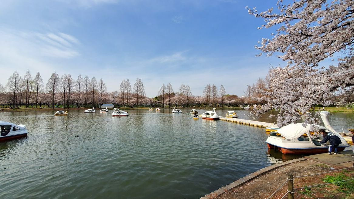 川越水上公園 埼玉 Matcha 日本旅游网络杂志