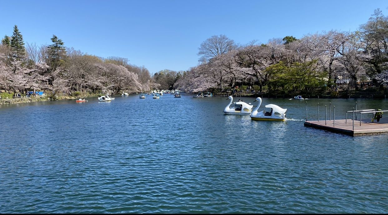 年版 見ごろはいつ 東京のオススメ紅葉名所10選 Matcha 訪日外国人観光客向けwebマガジン