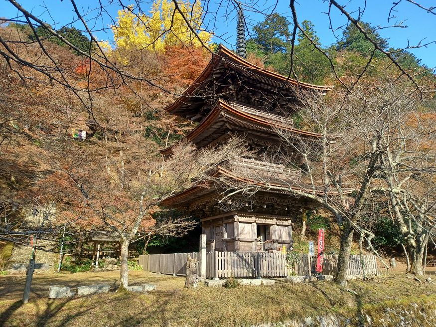金剛院 京都 Matcha 日本線上旅遊觀光雜誌