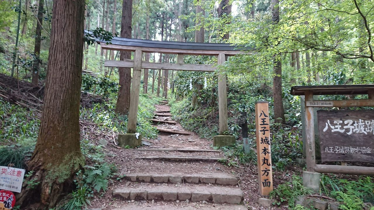 东京高尾 日本100名城 见证战国悲欢离合的 八王子城 Matcha 日本旅游网络杂志