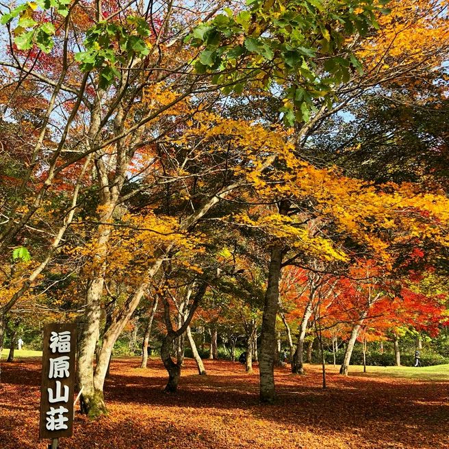 福原山荘庭園 北海道 Matcha 日本旅游网络杂志