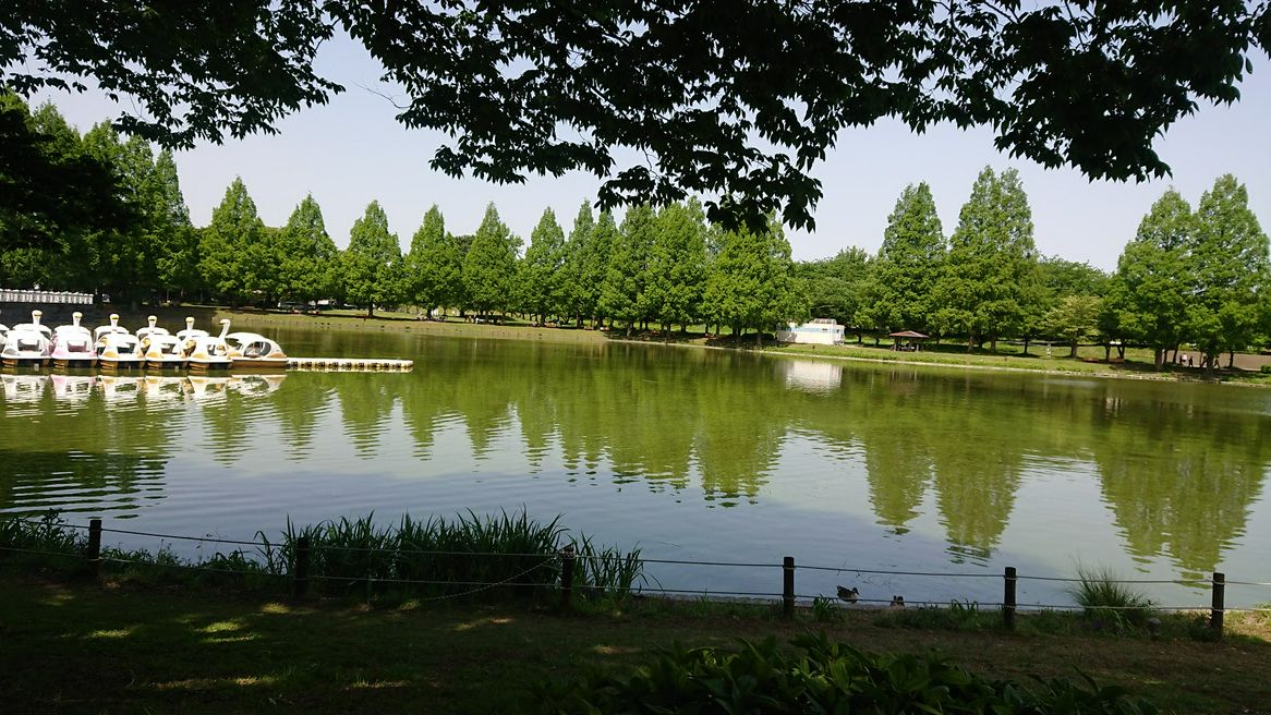 川越水上公園 埼玉 Matcha 日本旅游网络杂志