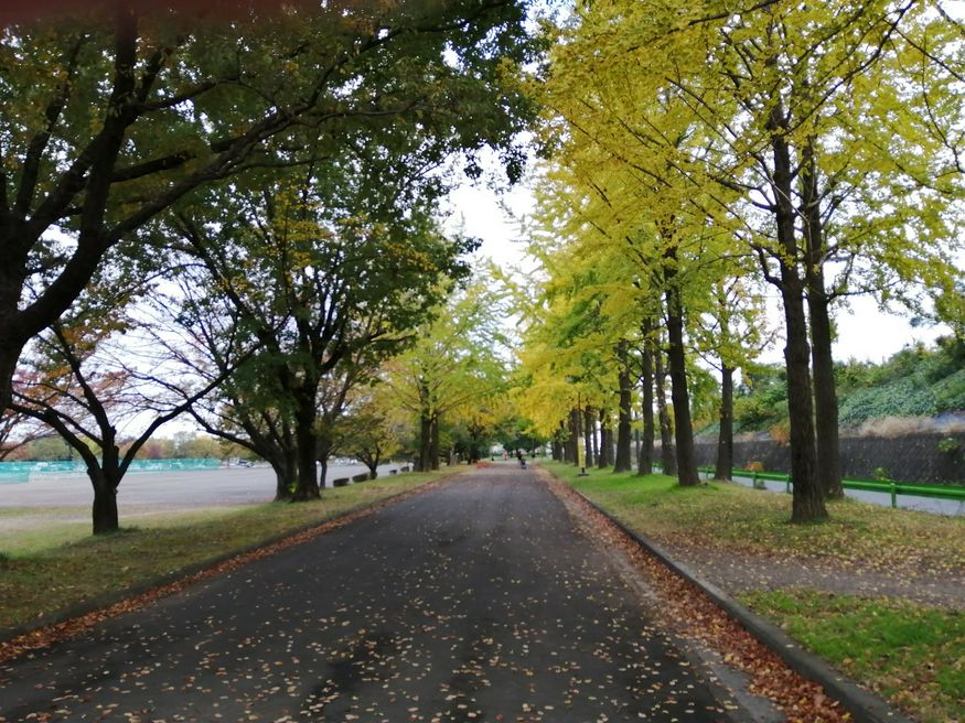 川越水上公園 埼玉 Matcha 日本旅游网络杂志