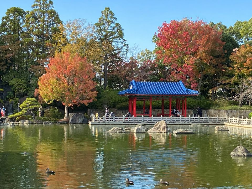 21年版 關西大阪賞楓紅葉人氣與私房景點10選 Matcha 日本線上旅遊觀光雜誌