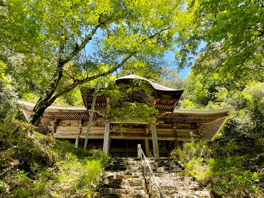 金剛院 京都 Matcha 日本旅游网络杂志
