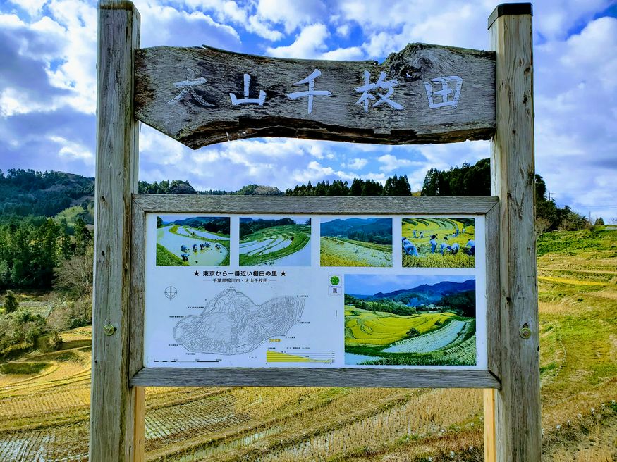 Oyama Senmaida Rice Terrace Chiba Matcha Japan Travel Web Magazine