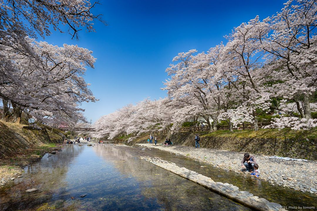 京都でゆっくりお花見を楽しみたい方必見 京都 亀岡の桜スポット5選 Matcha 訪日外国人観光客向けwebマガジン