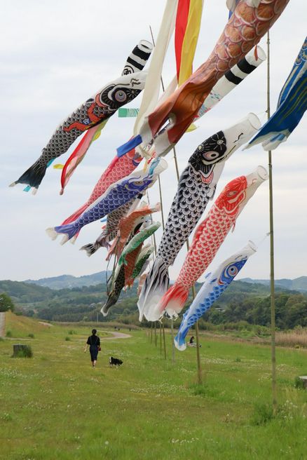 吉野川河川敷公園 奈良 Matcha 訪日外国人観光客向けwebマガジン