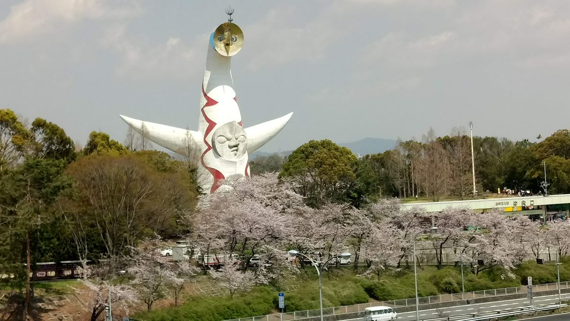 万博記念公園 大阪 Matcha 日本線上旅遊觀光雜誌