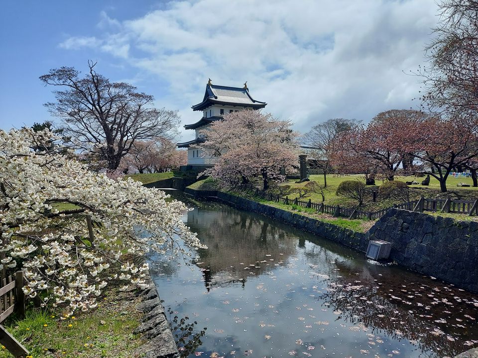 北海道櫻花 錯過3月不要緊 來北海道追晚櫻人氣景點5選 Matcha 日本線上旅遊觀光雜誌