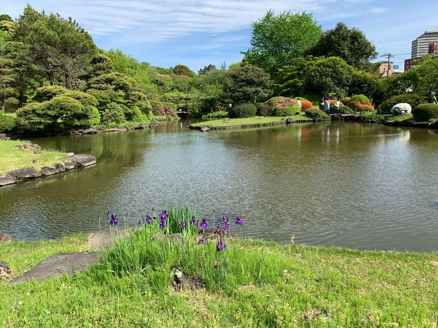 小石川植物園 東京大学大学院理学系研究科附属植物園 东京 Matcha 日本旅游网络杂志