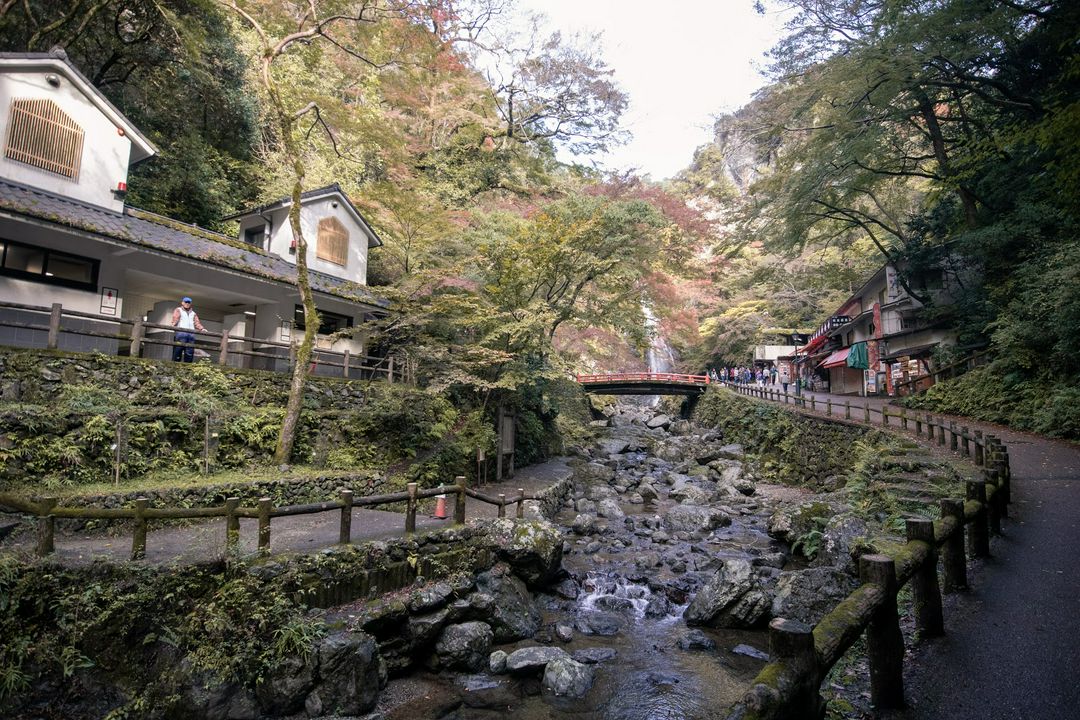 19年版 大阪赏枫胜地10选 箕面公园 大阪城 大仙公园等 Matcha 日本旅游网络杂志