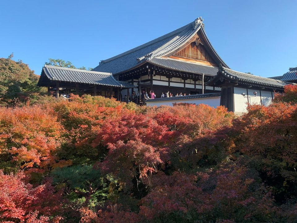 See Kyoto In Autumn 11 Places To Visit For Foliage In 21 Matcha Japan Travel Web Magazine