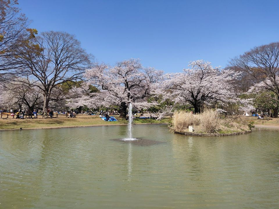 年版 見ごろはいつ 東京のオススメ紅葉名所10選 Matcha 訪日外国人観光客向けwebマガジン