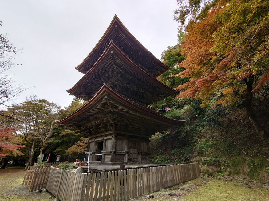 金剛院 京都 Matcha 日本線上旅遊觀光雜誌