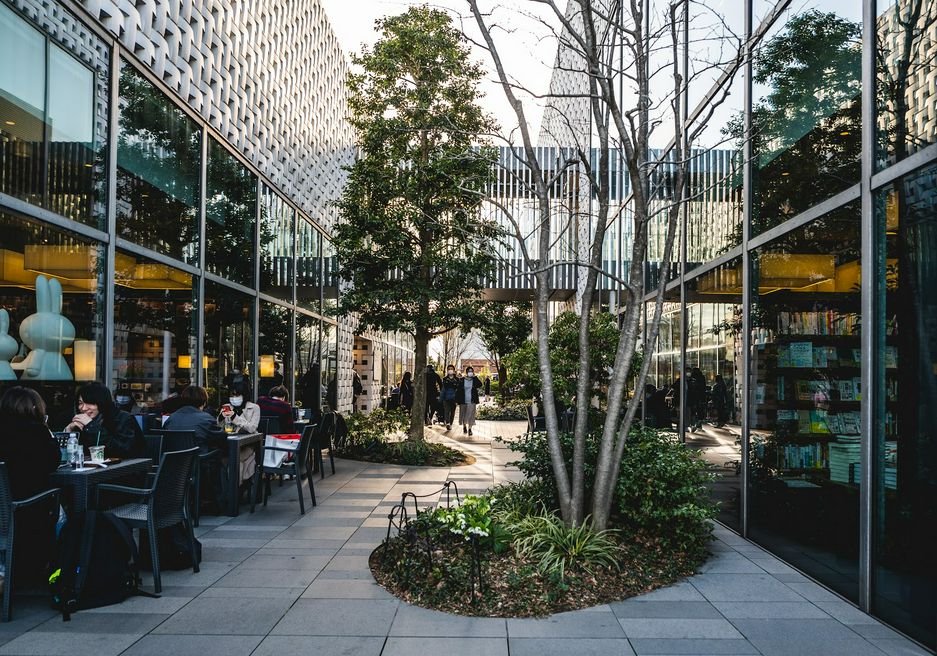 代官山t Site 东京 Matcha 日本旅游网络杂志