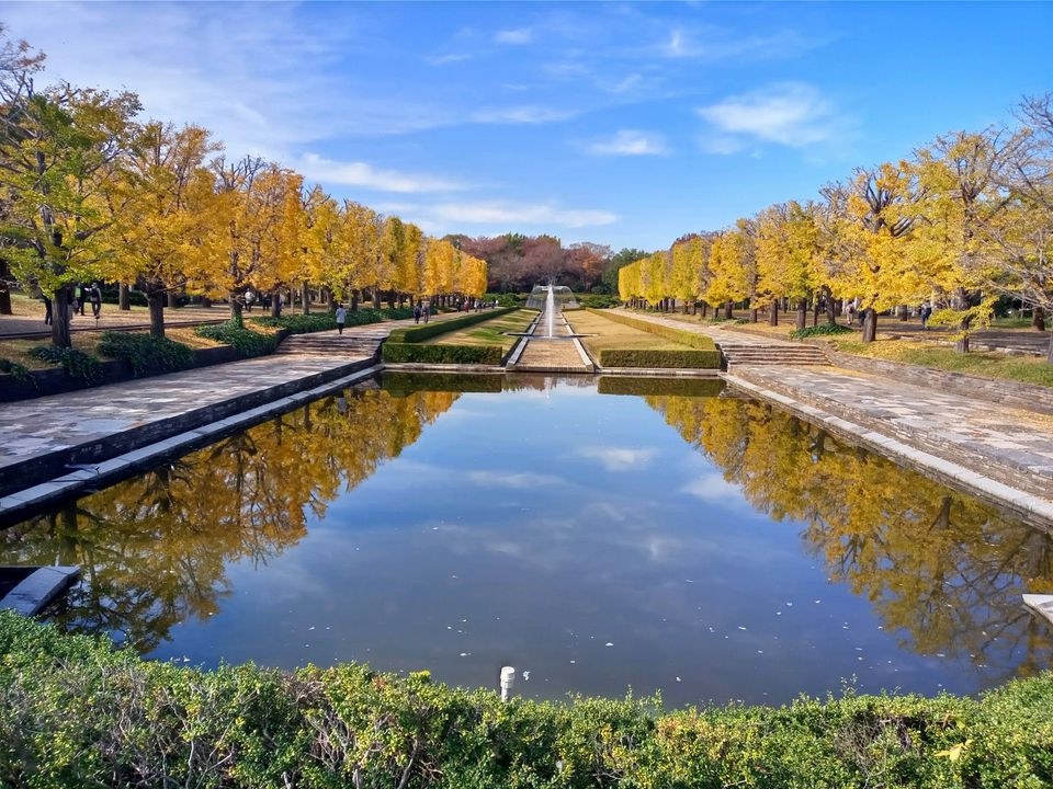 四季都有花可以赏的 昭和记念公园 Matcha 日本旅游网络杂志