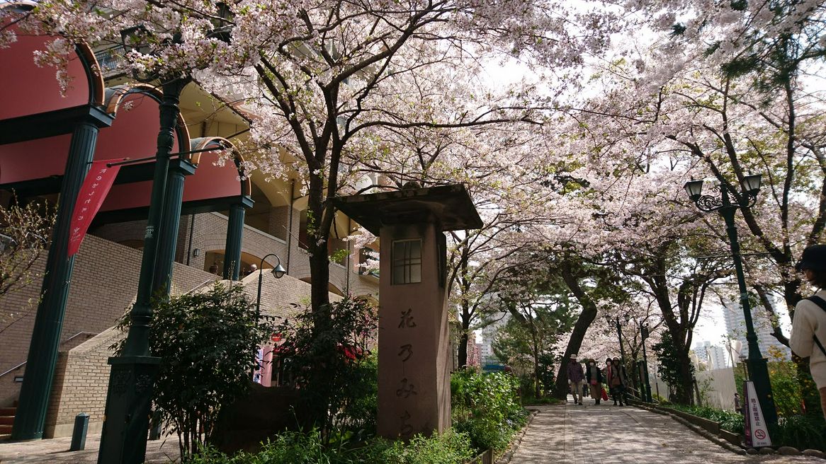 宝塚 花のみち 兵庫 Matcha 訪日外国人観光客向けwebマガジン