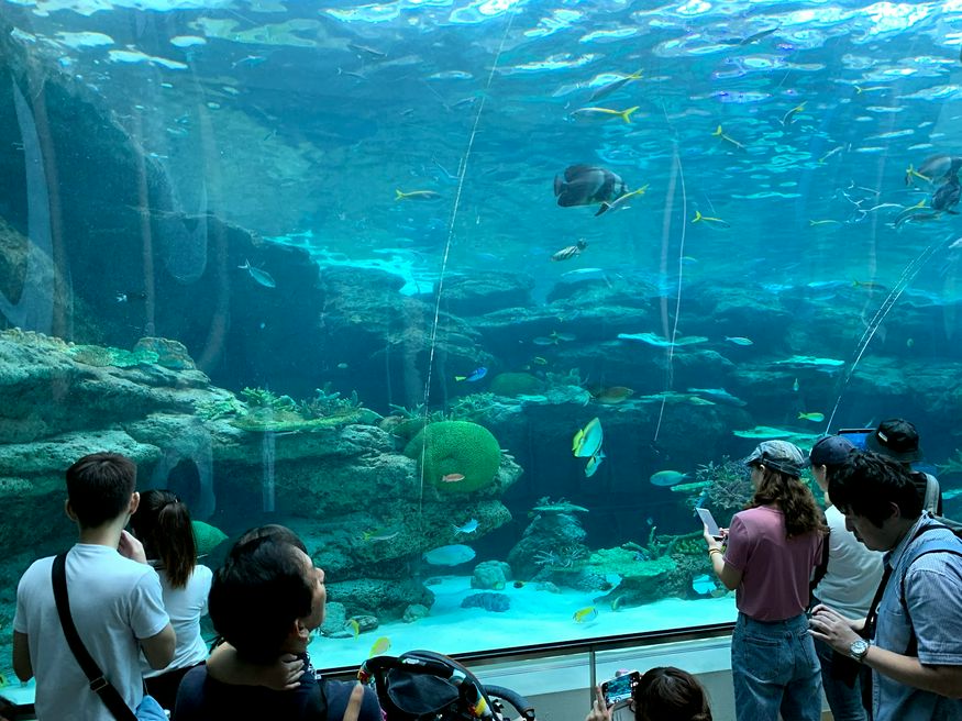 名古屋港水族館 愛知 Matcha 訪日外国人観光客向けwebマガジン