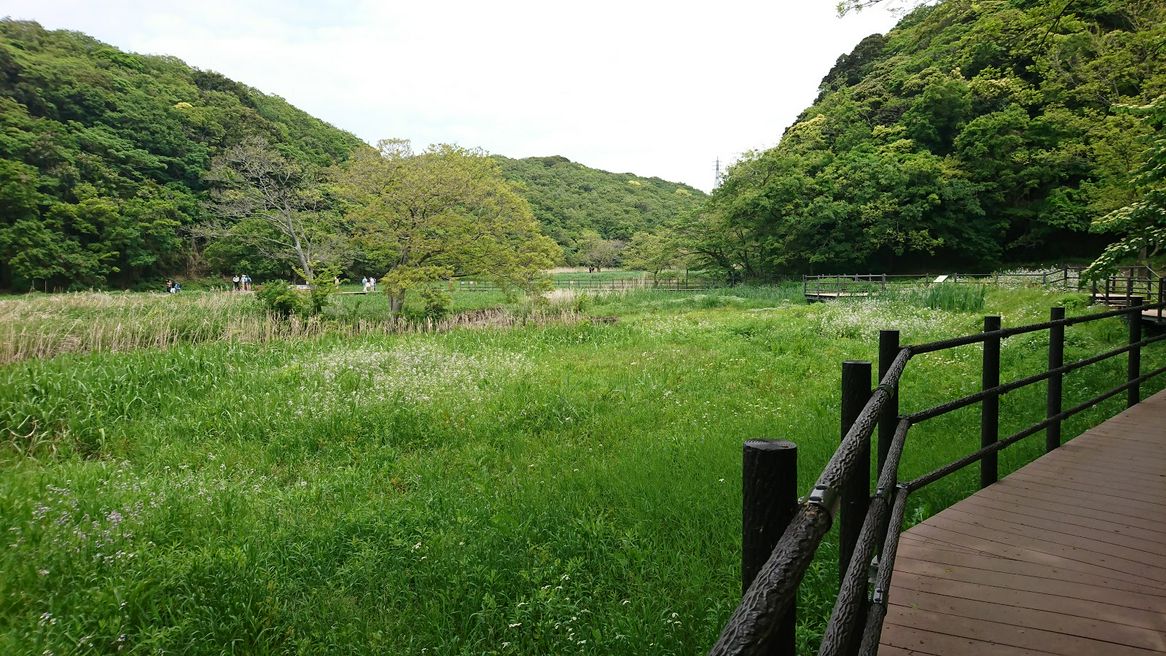 小網代の森 神奈川 Matcha 日本線上旅遊觀光雜誌