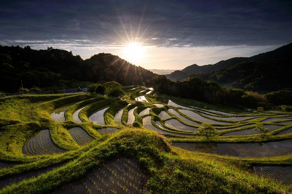 Oyama Senmaida Rice Terrace Chiba Matcha Japan Travel Web Magazine