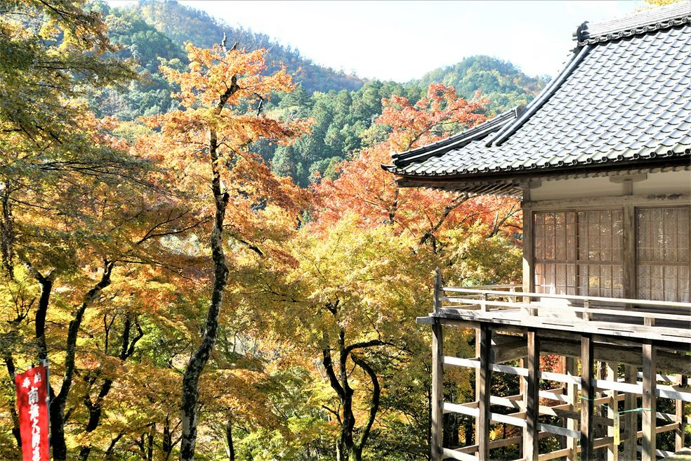 金剛院 京都 Matcha 日本線上旅遊觀光雜誌