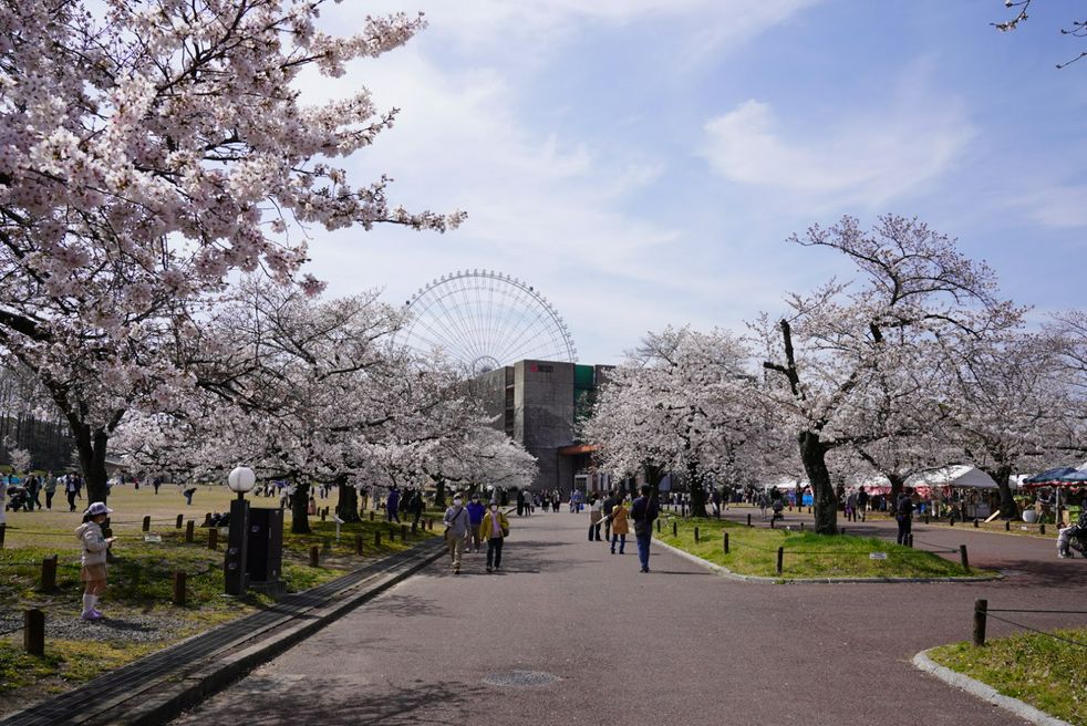 万博記念公園 大阪 Matcha 日本旅游网络杂志