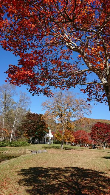 福原山荘庭園 北海道 Matcha 日本旅游网络杂志