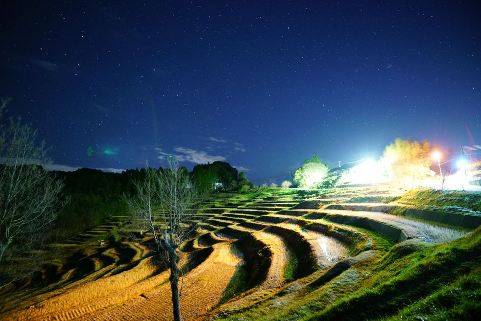 Oyama Senmaida Rice Terrace Chiba Matcha Japan Travel Web Magazine