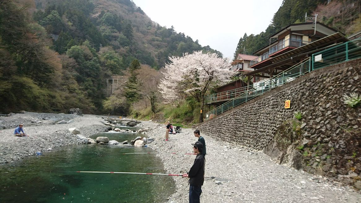 氷川国際ます釣場 東京 Matcha やさしい日本語