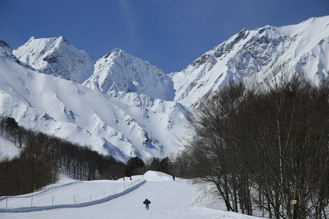 長野白馬村 享受滑雪樂趣 白馬八方尾根滑雪場 Matcha 日本線上旅遊觀光雜誌