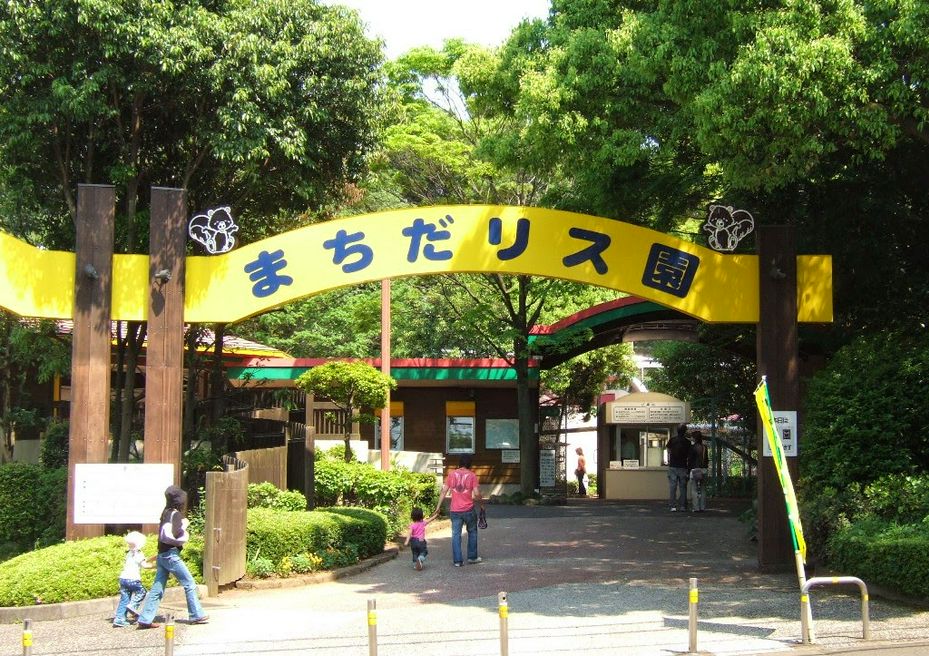 町田リス園 東京 MATCHA 日本線上旅遊觀光雜誌