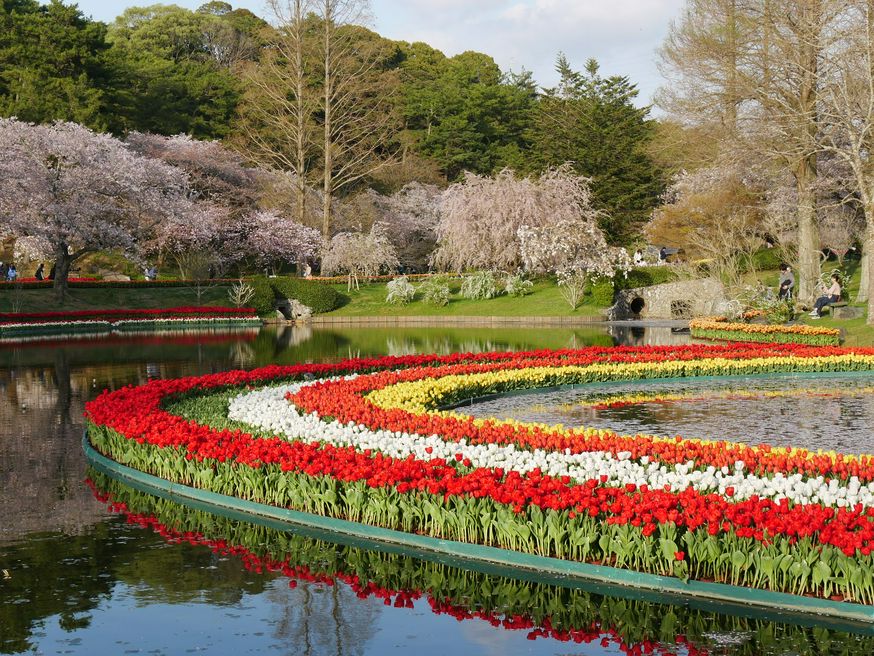 Hamamatsu Flower Park Shizuoka Matcha Japan Travel Web Magazine