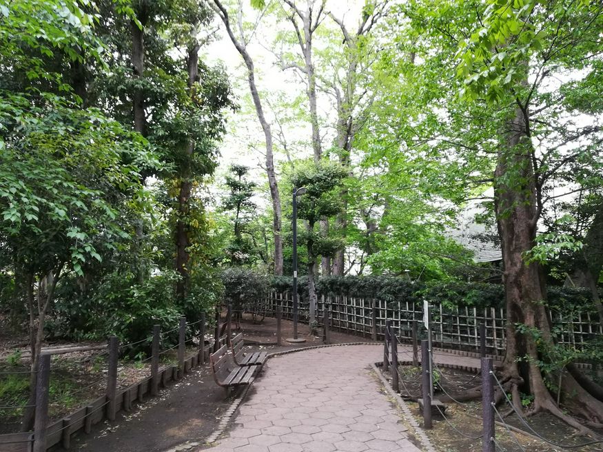 すずめのお宿緑地公園 東京 Matcha やさしい日本語