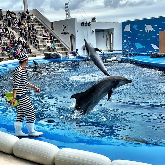 仙台海洋森林水族館