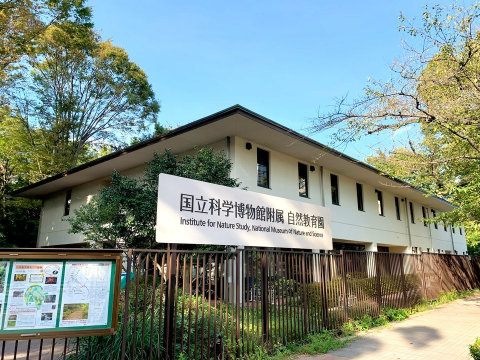 東京の国立科学博物館附属自然教育園の基礎情報・アクセスなどまとめ part 2 MATCHA 訪日外国人観光客向けWebマガジン
