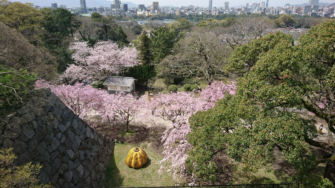 年版 飽覽北九州之秋 福岡紅葉景點9選 Matcha 日本線上旅遊觀光雜誌