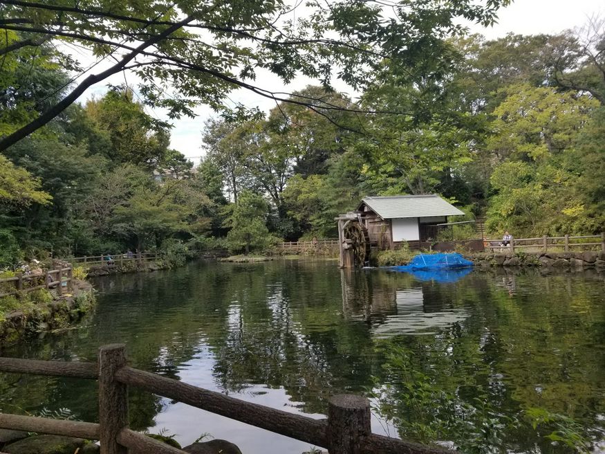 鍋島松濤公園 東京 Matcha やさしい日本語