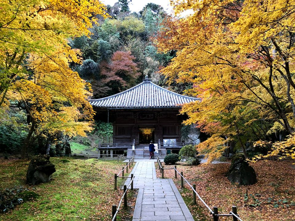 秋季賞紅特集 精選東北地區七處紅葉名勝 讓您搶先目睹紅葉之美 Matcha 日本線上旅遊觀光雜誌