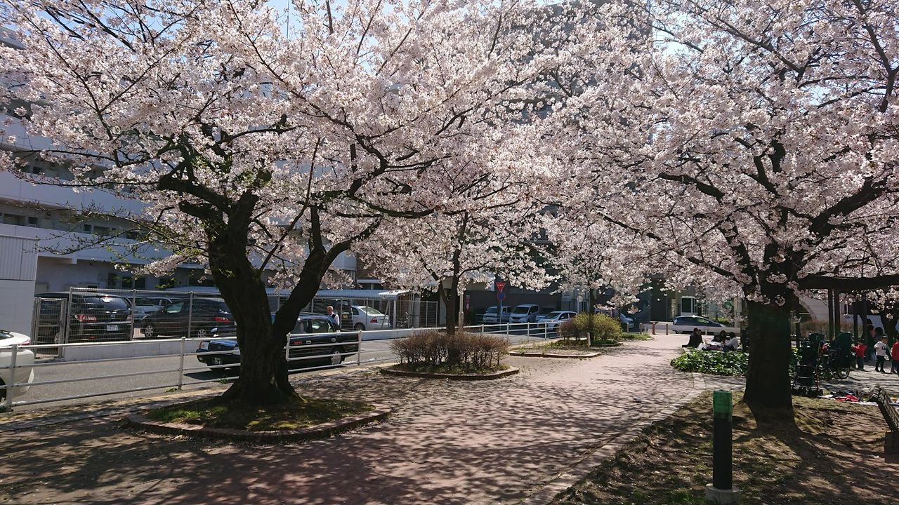 山王公園