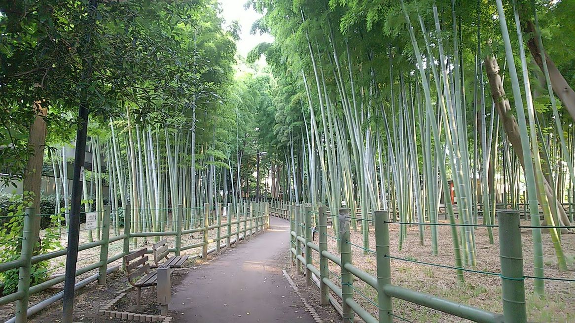 すずめのお宿緑地公園 東京 Matcha やさしい日本語